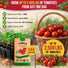 Tomato Large Cherry Seeds Pack 0.8G
