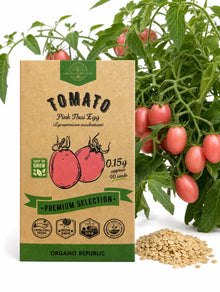 Pink Thai Egg Tomato Seeds – Non-GMO Heirloom