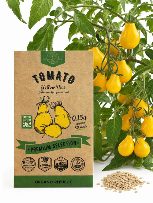 Tomato Yellow Pear Seeds