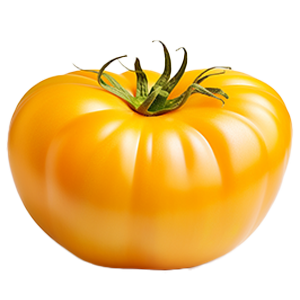 Tomato Dr. Wyche's Yellow - 0.15G