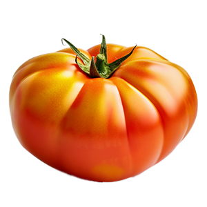 Tomato Flame - 0.2G
