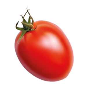 Tomato Roma VF - 0.2G