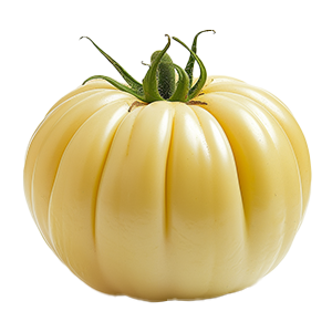 Tomato White Beefsteak - 0.2G