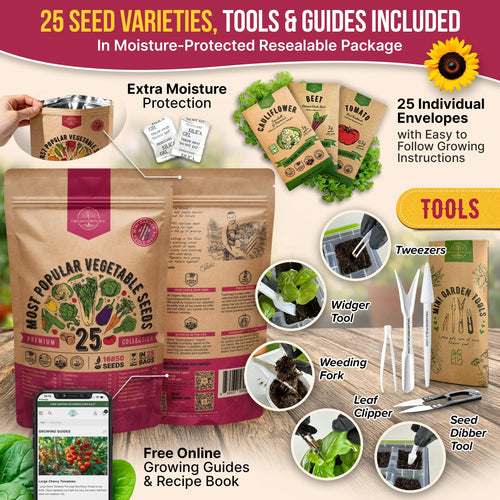 Vegetable Seeds Variety Pack Organo Republic