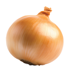 Onion Walla Walla - 1G