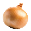 Onion Walla Walla - 1G