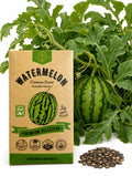 Crimson Sweet Watermelon Seeds – Non-GMO Heirloom