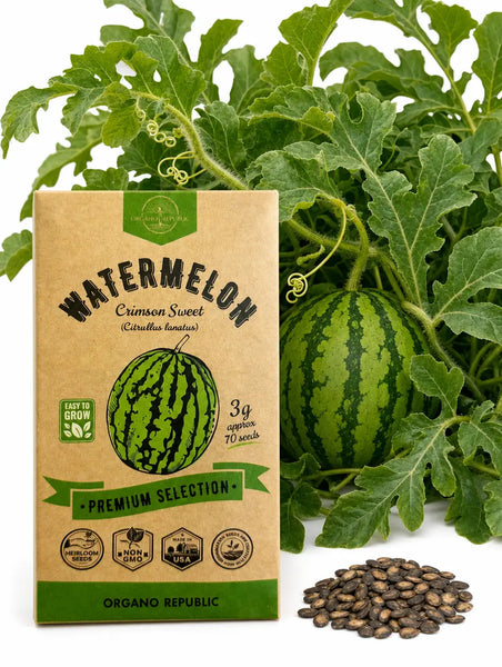 Watermelon Crimson Sweet Seeds