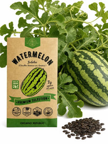 Jubilee Watermelon Seeds – Non-GMO Heirloom