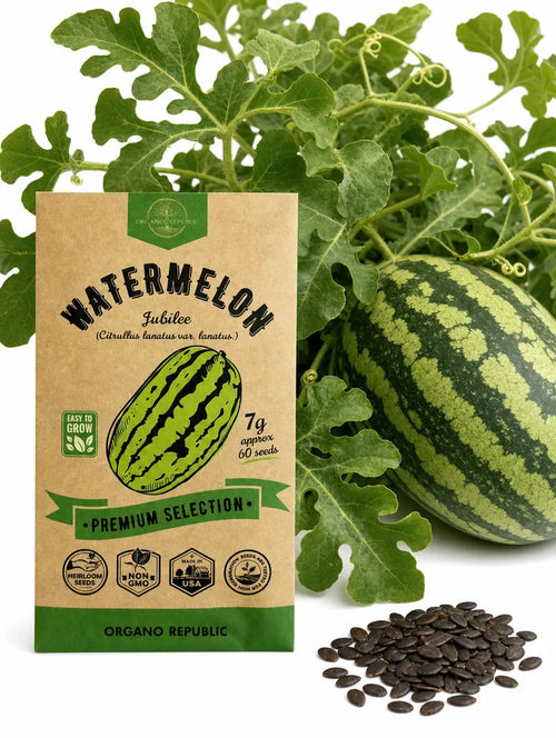 Jubilee Watermelon Seeds – Non-GMO Heirloom
