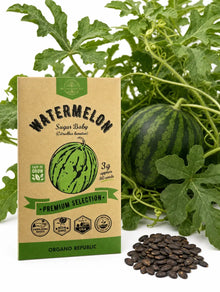 Sugar Baby Watermelon Seeds – Non-GMO Heirloom