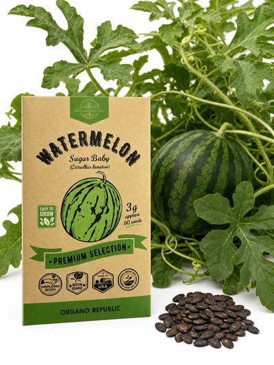 Sugar Baby Watermelon Seeds – Non-GMO Heirloom