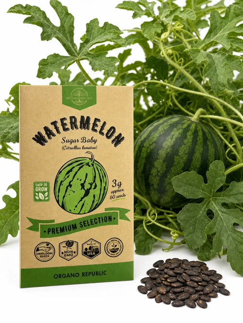 Sugar Baby Watermelon Seeds – Non-GMO Heirloom