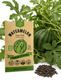 Sugar Baby Watermelon Seeds – Non-GMO Heirloom