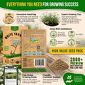 White Yarrow Seeds Pack 0.25G