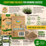 White Yarrow Seeds Pack 0.25G