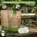 White Yarrow Seeds Organo Republic