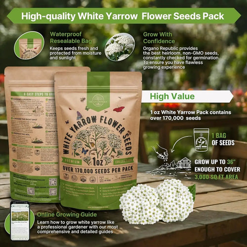 White Yarrow Seeds Organo Republic