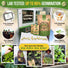 25 Winter Vegetable Seeds Variety Pack