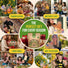 25 Winter Vegetable Seeds Variety Pack