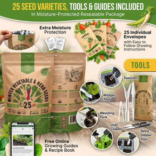 Winter Vegetable Seeds Variety Pack Organo Republic