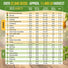 Winter Vegetable Seeds Variety Pack Organo Republic