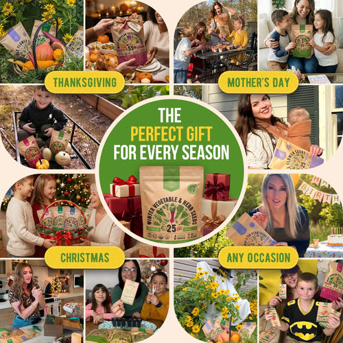 Winter Vegetable Seeds Variety Pack Organo Republic