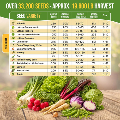 Winter Vegetable Seeds Variety Pack Organo Republic