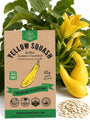 Yellow Squash Golden Summer Crookneck Seeds - Organo Republic