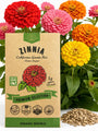 Zinnia Seeds Pack