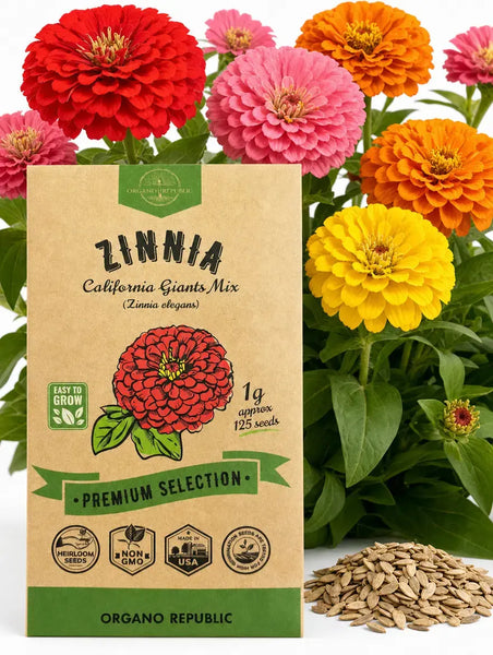 Zinnia Seeds Pack – Organo Republic