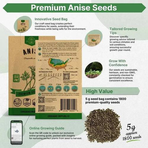 Anise Seeds Pack 5G - Over 1800 Non - GMO Heirloom Anise Seeds for Planting Herbs in Individual Seed Packet, Herbs Seeds for Planting Home Garden Indoor & Outdoor Gardening - Organo Republic
