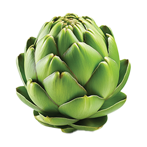 Artichoke Green Globe - 2G