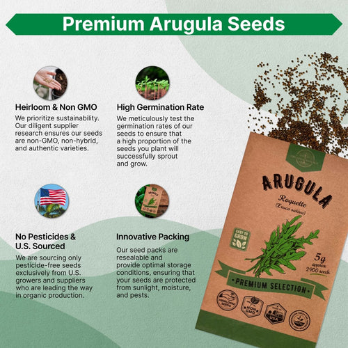 Arugula Roquette Seeds Pack 5G - Over 2900 Non - GMO Heirloom Arugula Seeds for Planting Greens in Individual Seed Packet, Greens Seeds for Planting Home Garden Indoor & Outdoor Gardening - Organo Republic