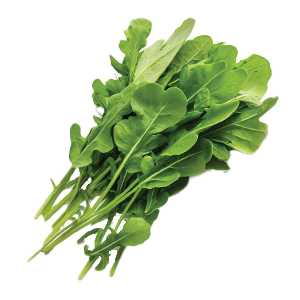 Arugula Roquette - 5G