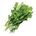 Arugula Roquette - 5G