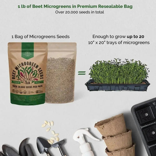 Beet Sprouting & Microgreens Seeds - Non - GMO, Heirloom Sprout Seeds Kit in Bulk 1lb Resealable Bag for Planting & Growing Microgreens in Soil, Coconut Coir, Garden, Aerogarden & Hydroponic System. - Organo Republic