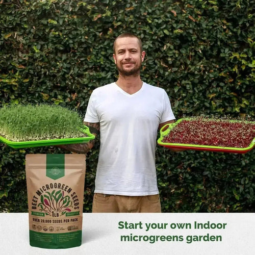 Beet Sprouting & Microgreens Seeds - Non - GMO, Heirloom Sprout Seeds Kit in Bulk 1lb Resealable Bag for Planting & Growing Microgreens in Soil, Coconut Coir, Garden, Aerogarden & Hydroponic System. - Organo Republic