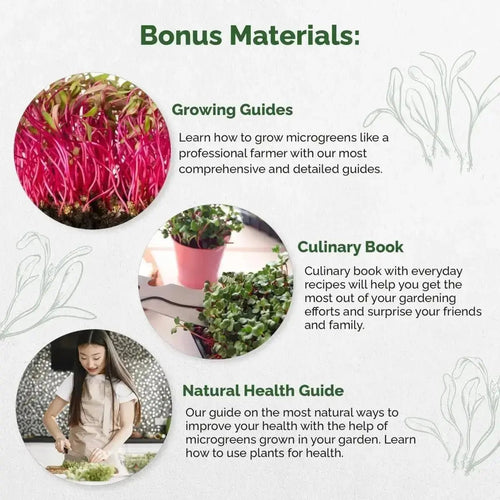 Beet Sprouting & Microgreens Seeds - Non - GMO, Heirloom Sprout Seeds Kit in Bulk 1lb Resealable Bag for Planting & Growing Microgreens in Soil, Coconut Coir, Garden, Aerogarden & Hydroponic System. - Organo Republic