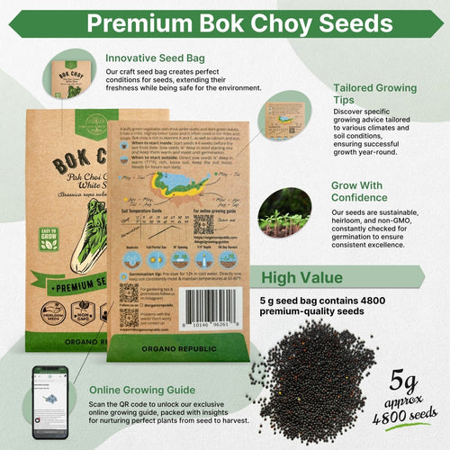 Bok Choy Seeds Pack 5 G - Over 4,800 Non - GMO Heirloom Bok Choy Seeds for Planting Vegetables in Individual Seed Packet, Vegetable Seeds for Planting Home Garden Indoor & Outdoor Gardening - Organo Republic