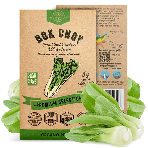 bok choy seeds planting Bok Choy Seeds Pack 5G
