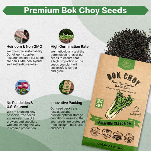 Bok Choy Seeds Pack 5 G - Over 4,800 Non - GMO Heirloom Bok Choy Seeds for Planting Vegetables in Individual Seed Packet, Vegetable Seeds for Planting Home Garden Indoor & Outdoor Gardening - Organo Republic