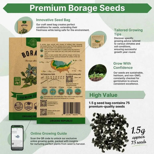 Borage Seeds Pack 1.50 G - Over 75 Non - GMO Heirloom Borage Seeds for Planting Herbs in Individual Seed Packet, Herbs Seeds for Planting Home Garden Indoor & Outdoor Gardening - Organo Republic