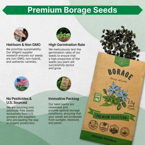 Borage Seeds Pack 1.50 G - Over 75 Non - GMO Heirloom Borage Seeds for Planting Herbs in Individual Seed Packet, Herbs Seeds for Planting Home Garden Indoor & Outdoor Gardening - Organo Republic
