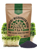 Broccoli Sprouting & Microgreens Seeds 1lb