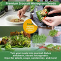 Broccoli Sprouting & Microgreens Seeds 1lb - Over 130 000 Non - GMO, Heirloom Seeds - Organo Republic