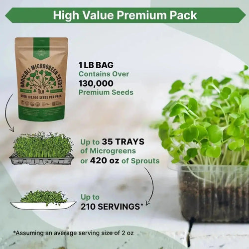 Broccoli Sprouting & Microgreens Seeds 1lb - Over 130 000 Non - GMO, Heirloom Seeds - Organo Republic