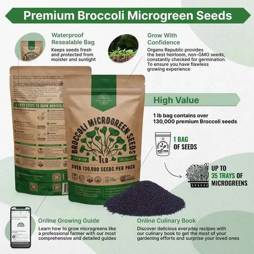 Broccoli Sprouting & Microgreens Seeds 1lb - Over 130 000 Non - GMO, Heirloom Seeds - Organo Republic
