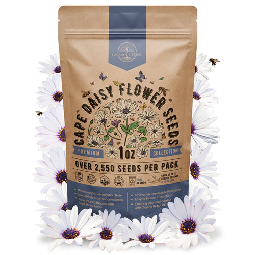Cape Daisy Flower Seeds Pack 1 oz - Over 2,550 Non - GMO Heirloom Cape Daisy Seeds for Planting, Perennial Flowers in Individual Seed Packet, Seeds for Planting Home Garden Indoor & Outdoor Gardening - Organo Republic