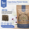 Cape Daisy Flower Seeds Pack 1 oz - Over 2,550 Non - GMO Heirloom Cape Daisy Seeds for Planting, Perennial Flowers in Individual Seed Packet, Seeds for Planting Home Garden Indoor & Outdoor Gardening - Organo Republic